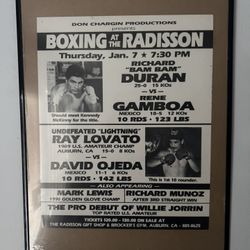 Boxing poster 2 