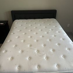 Bed And Box Spring