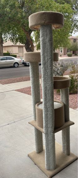 Cat post