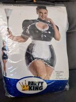 Maid For You Plus Size Costume