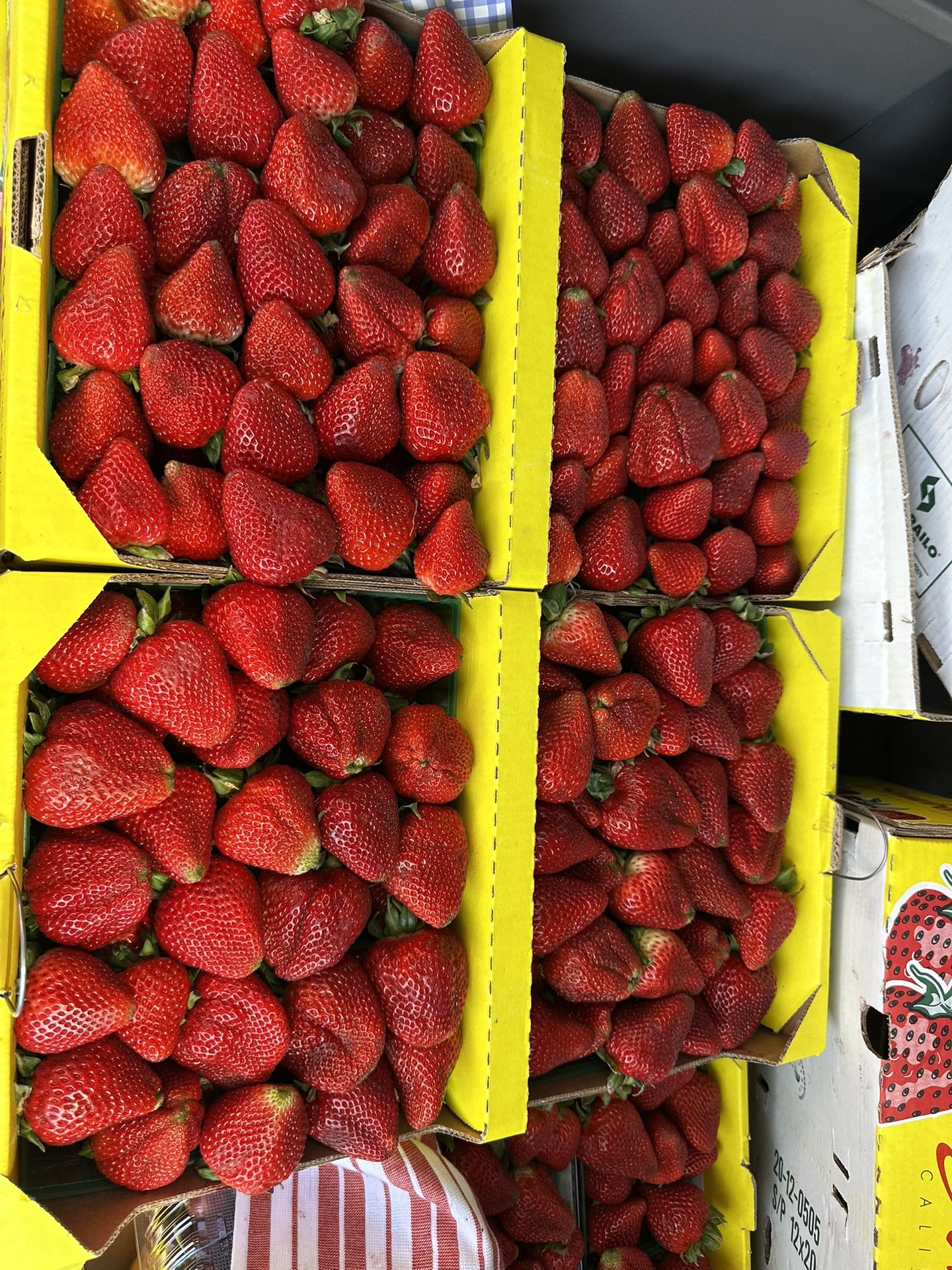 STRAWBERRIES