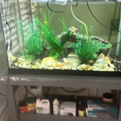 Fish Tank 75 Gallons