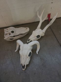 Halloween decorations