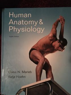 A & P book 8th edition