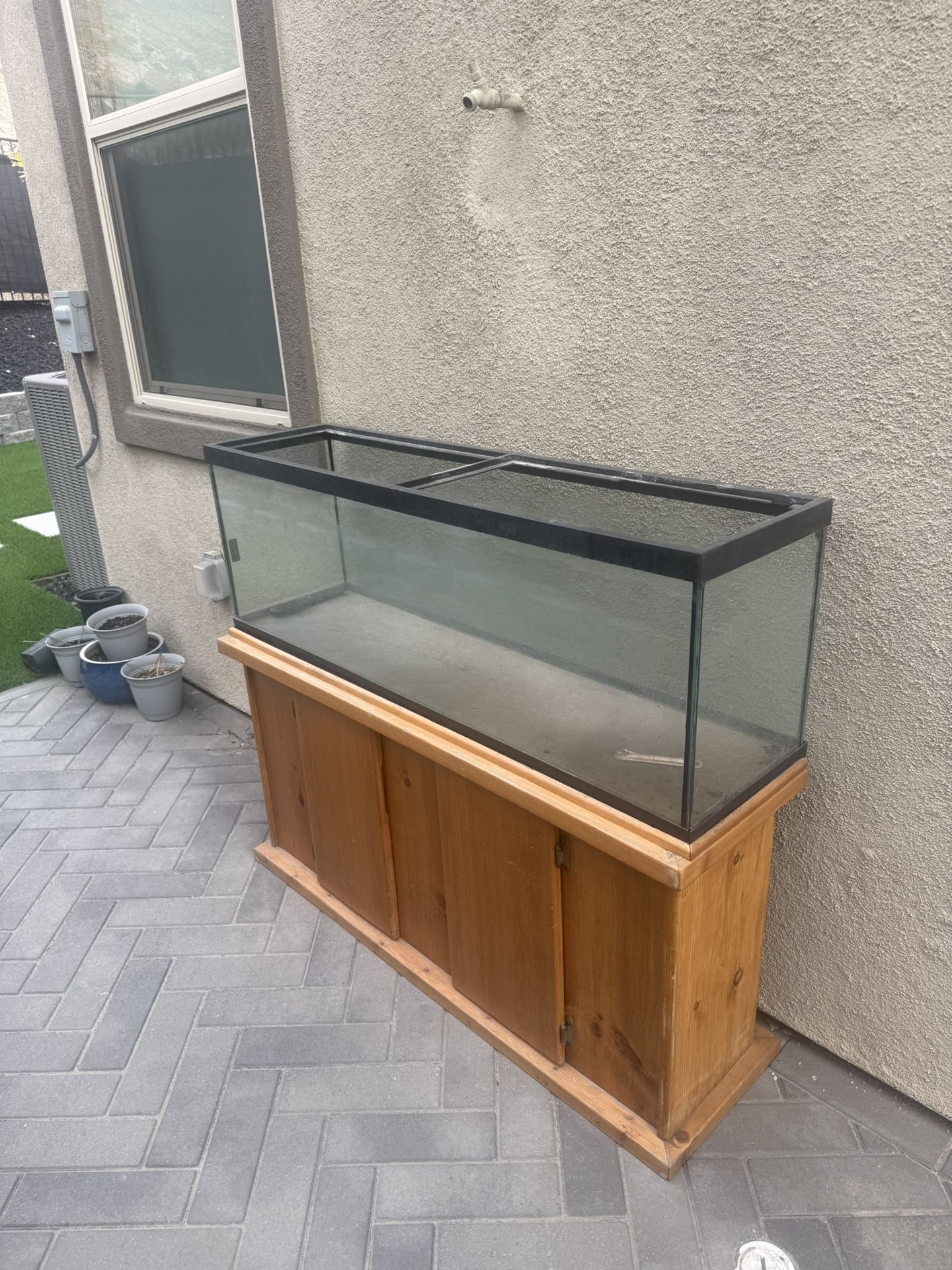 40 Gallon Fish Tank