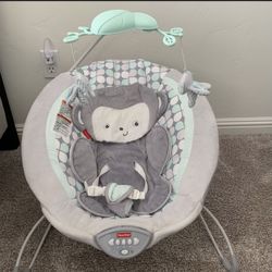 Fisher-price Snugamonkey Deluxe Bouncer 