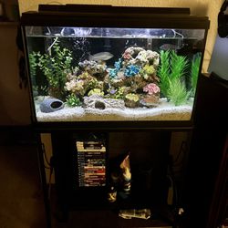 30 Gal Fresh Water Fish Tank W/metal Stand $350