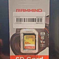 Rammind 64 GB Class 10 SD Card