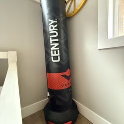 Kickboxing Tall Punching 