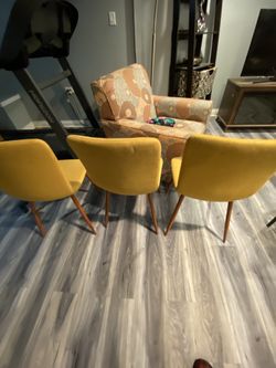 Yellow Dining Chairs