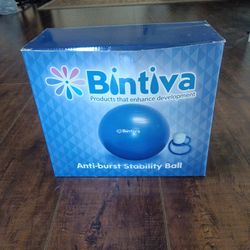 Stability / Balance Yoga Ball / Balance Chair