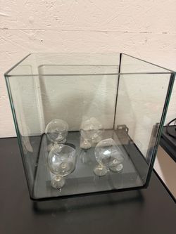 Fish Tank