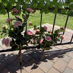 Pack Of 2 Staked Flower Bush 