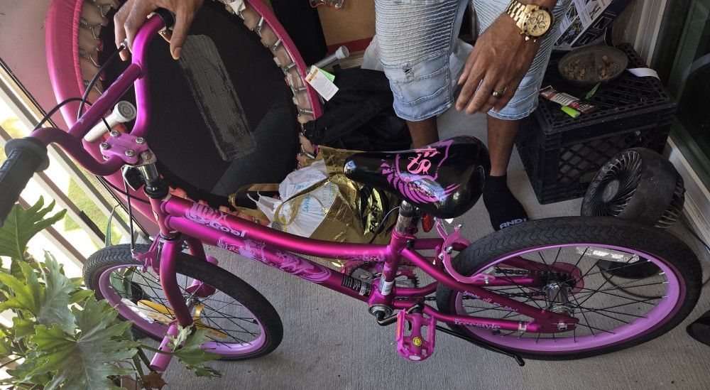 20 " Girls Bicycle