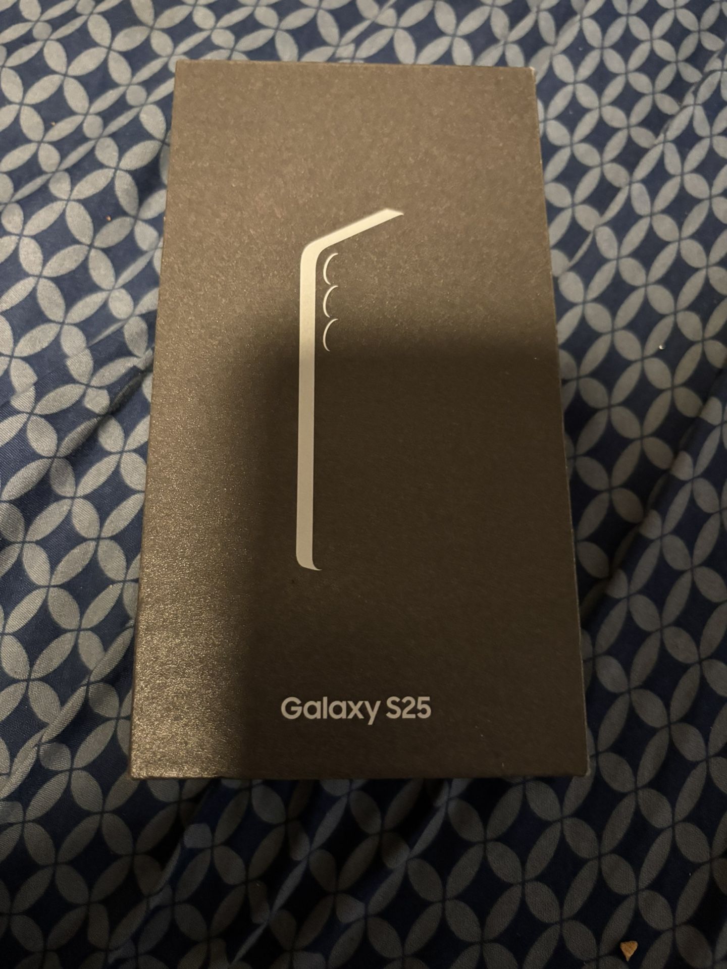 Samsung Galaxy S25