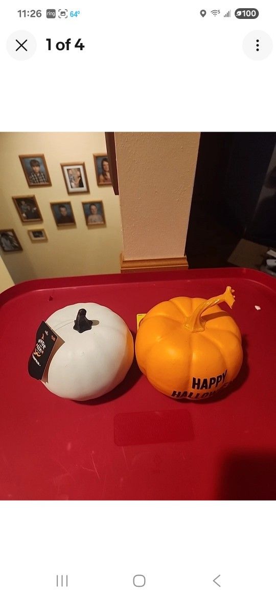 Pumpkin Lot 