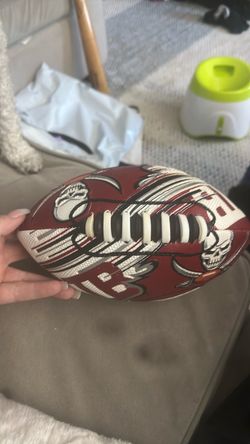 Tampa Bay Buccaneers NFL Football