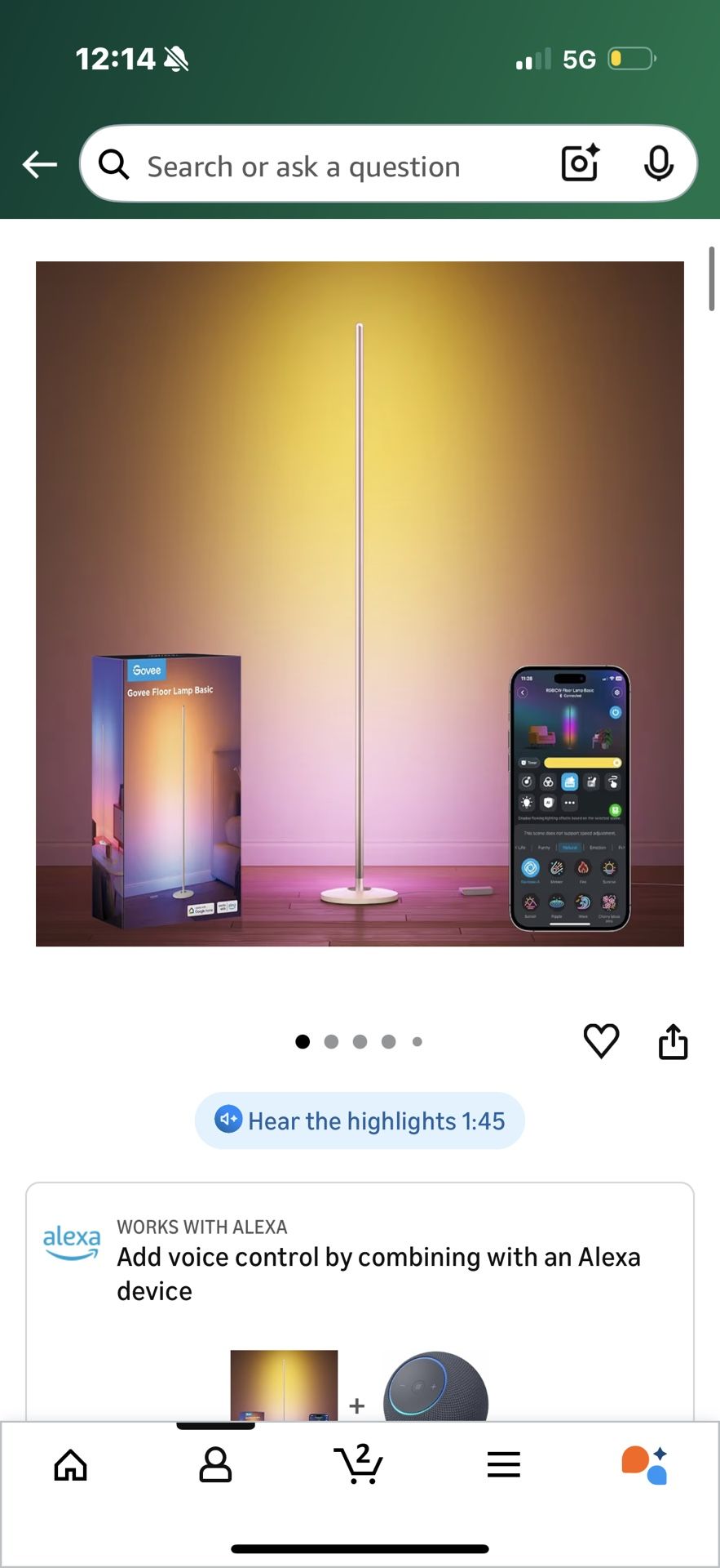 Govee Floor Lamp - Brand New