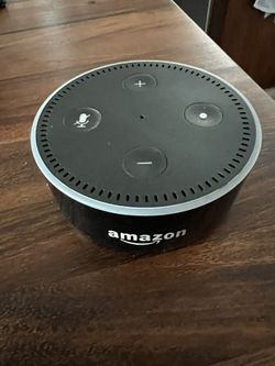 alexa echo