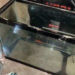 Fish Tank 
