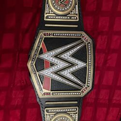 Wwe title adult size