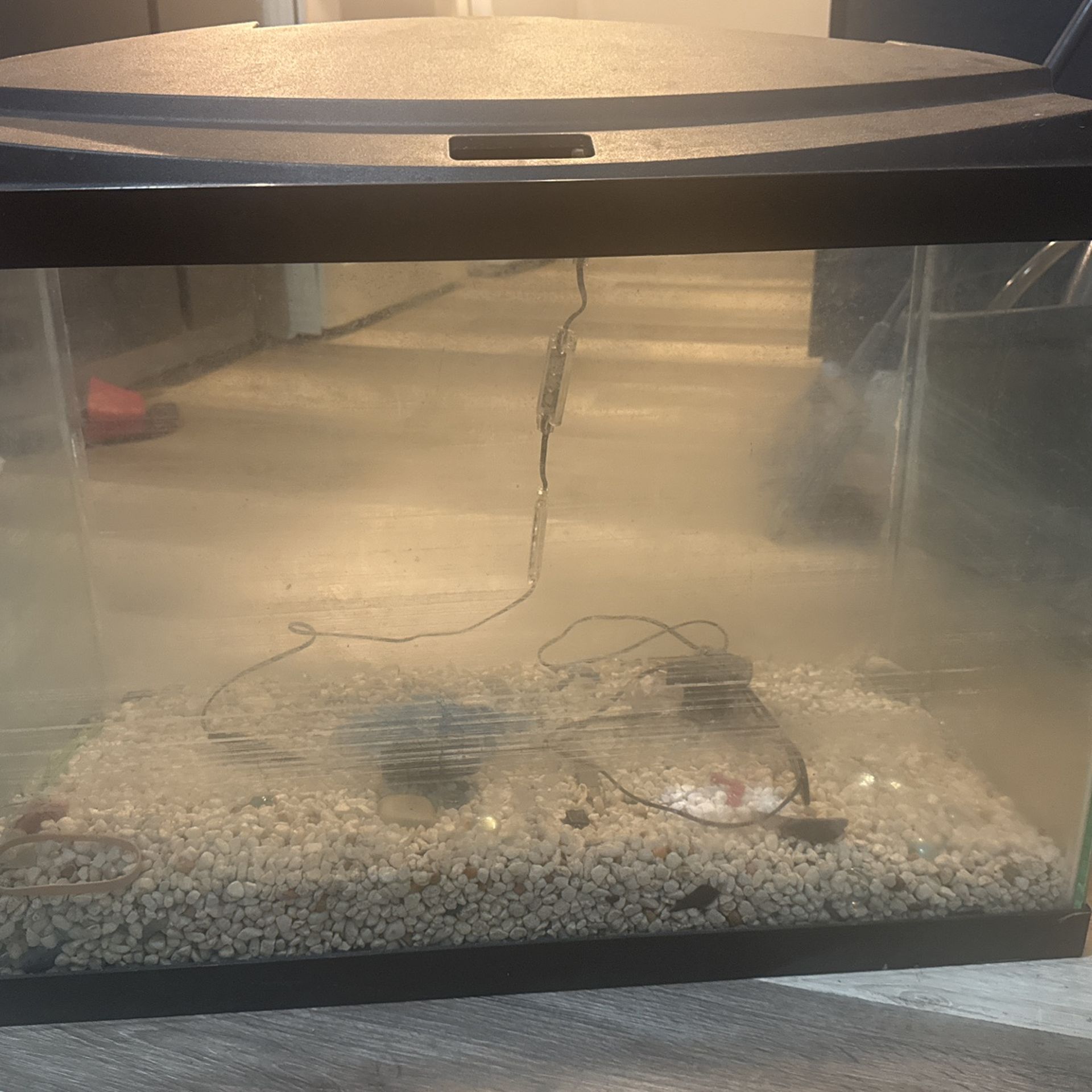 Fish Tank