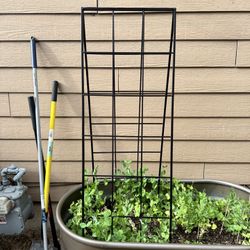 New Garden Trellis. Bought Two Weeks Ago.
