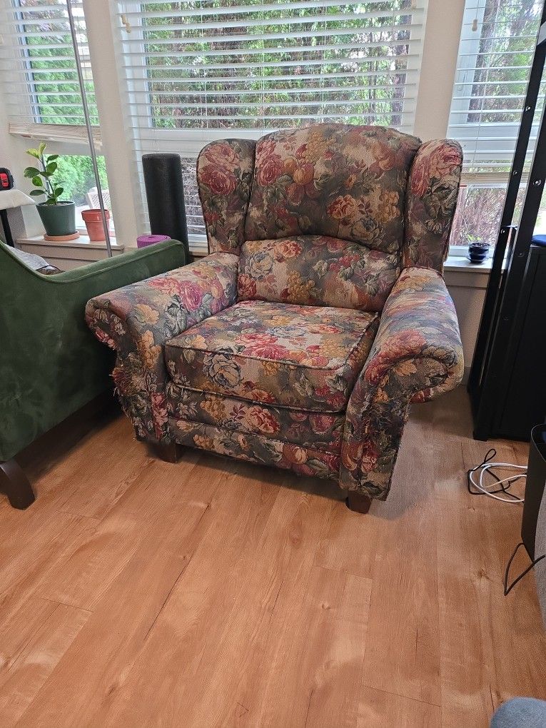 Armchair from a cat home