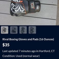 Rival And Rdx Boxing Mitts