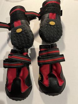 A Great Price For A Great Wonderful Set Of Doggie 🐶 Shoes  