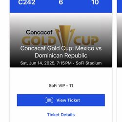 Mexico vs Dominican Republic Game