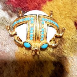 Beautiful Beetle Brooch