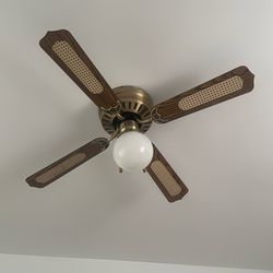 Ceiling Fan
