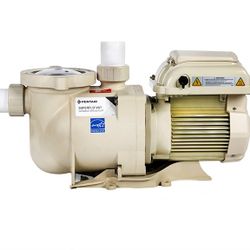 Pentair SuperfloVS Variable Speed Swimming Pool Pump Model 342001