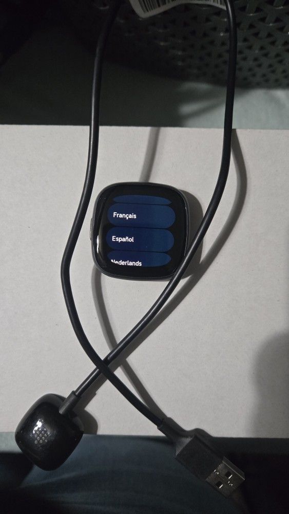 Fitbit Watch & Charger (NO BAND)