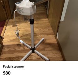 Facial Steamer 