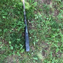 Bat