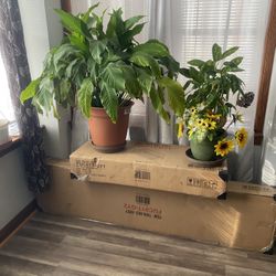 Shelves Box  made of natural wood