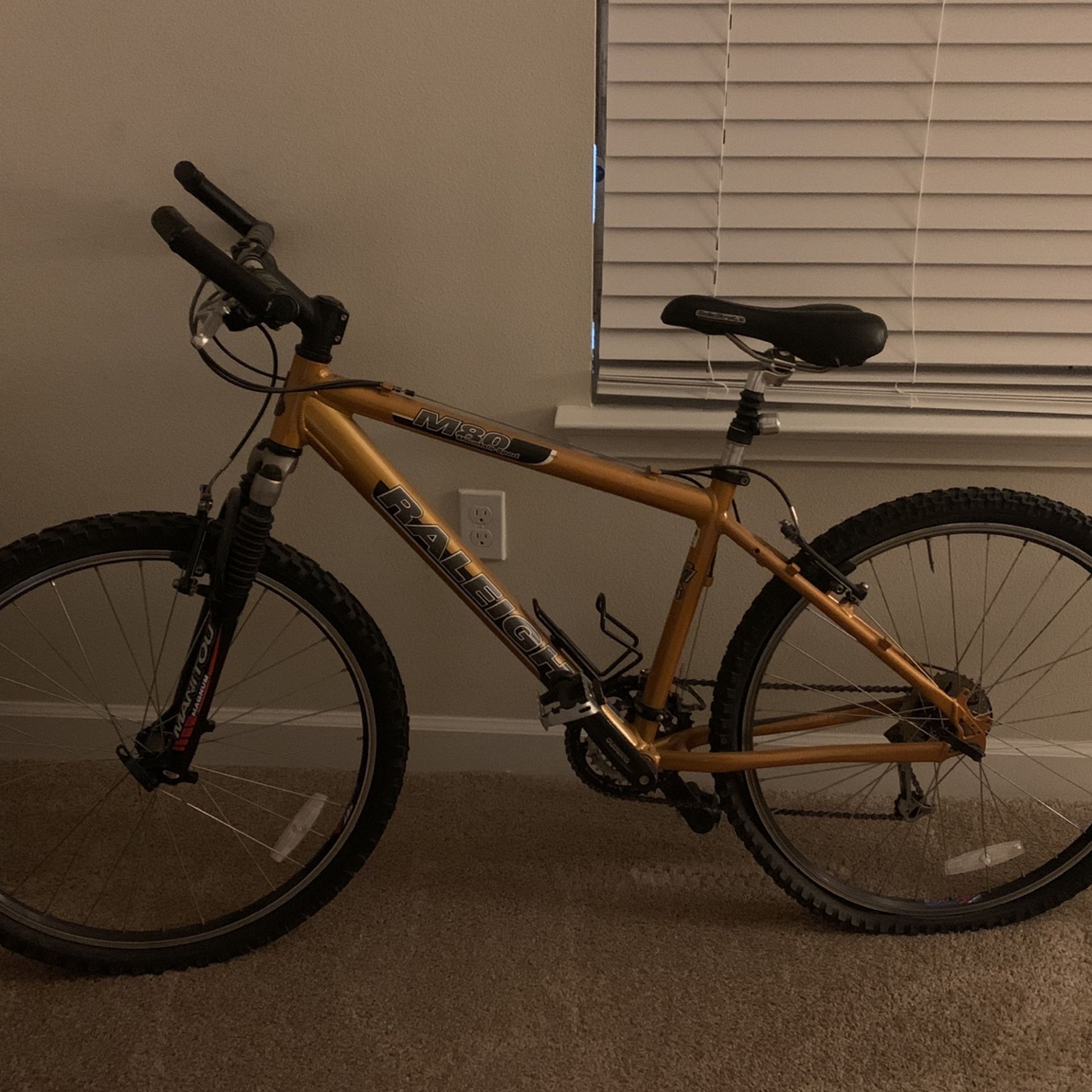 raleigh m80