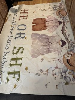 Baby Reveal Decorations 