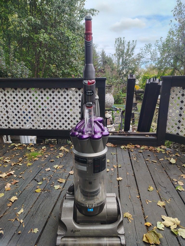 Dyson Absolute