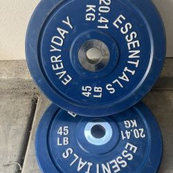 Everyday Essential Plates