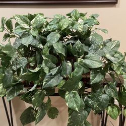 Ledge Basket With Hanging Plant