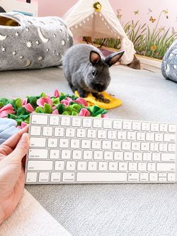 Apple Magic Keyboard – Wireless Bluetooth – Excellent Condition