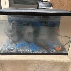 10 Gallon Fish Tank 