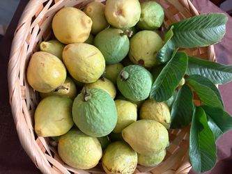 Guayas Orgánicas 15por $5