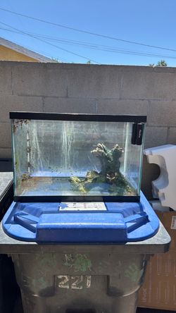 Fish Tank 20 Gallon