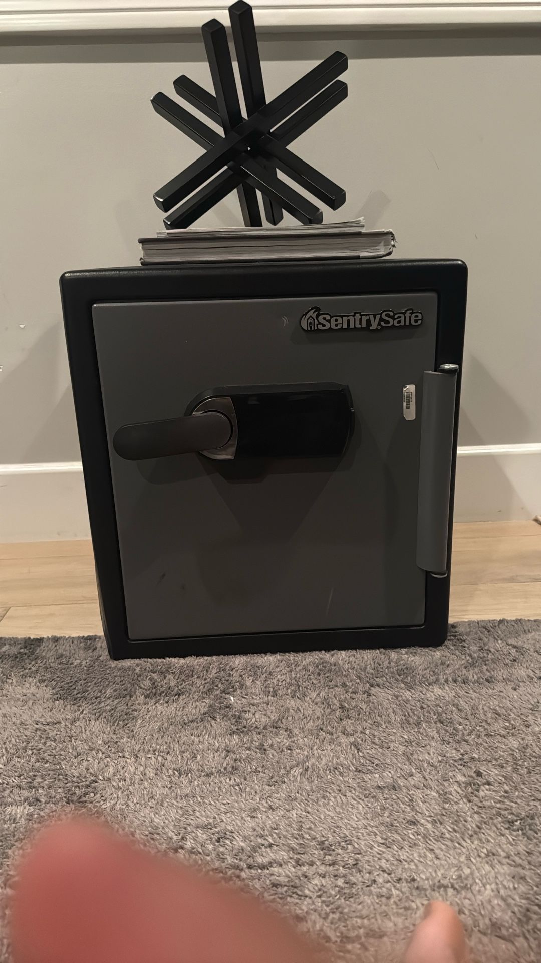 Sentry Safe