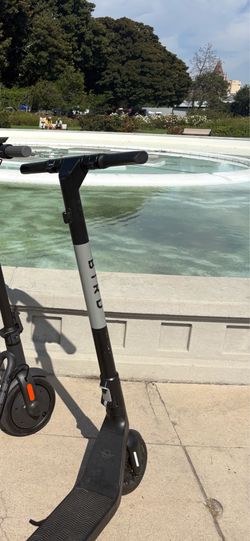 Bird electric scooter
