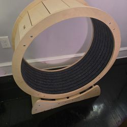 Cat Wheel